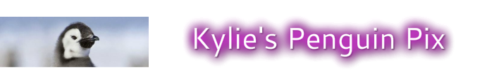 Kylie's Penguin Pix